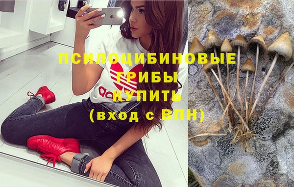 круглые Тайга