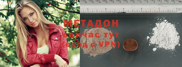 шишки Тында