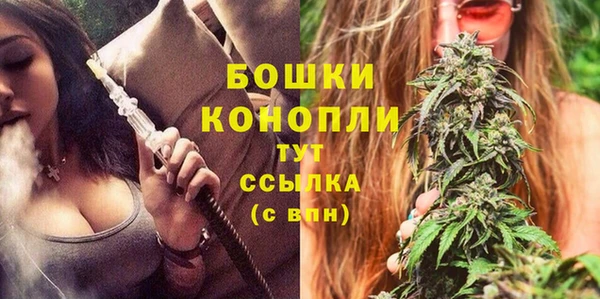 МДПВ Тавда